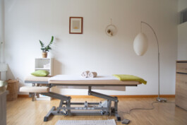 Massage Ochaya im Herzen des Ennstals