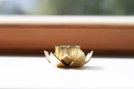 Massage Ochaya im Herzen des Ennstals